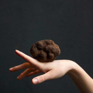 truffle